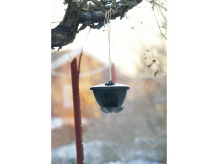 orthex Mangeoire pour oiseaux BIRDIE, vert/anthracite