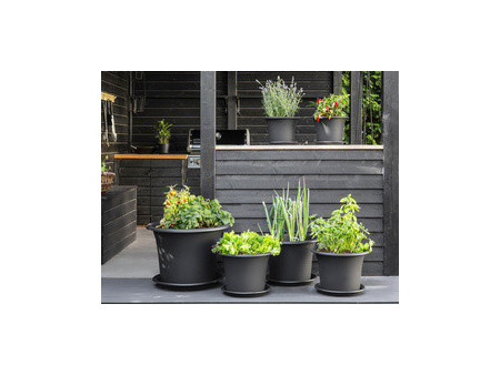 orthex Soucoupe BOTANICA, diamètre : 260 mm, gris