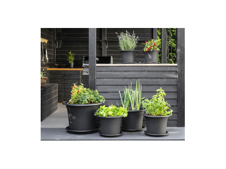orthex Soucoupe BOTANICA, diamètre: 340 mm, gris