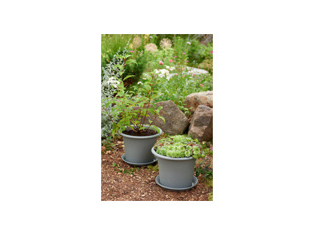orthex Soucoupe BOTANICA, diamètre: 380 mm, gris