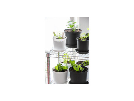 orthex Pot de fleurs CULTIVATE, diamètre : 120 mm, gris
