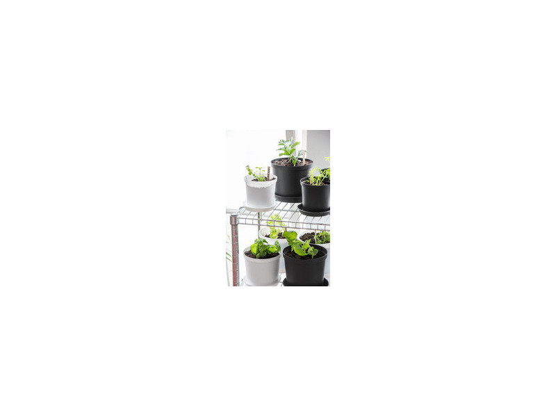 orthex Pot de fleurs CULTIVATE, diamètre: 180 mm, gris