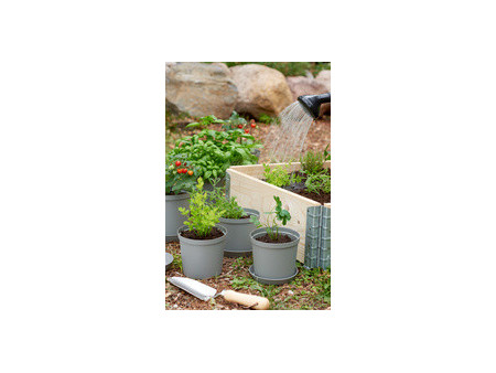 orthex Pot de fleurs CULTIVATE, diamètre : 240 mm, gris