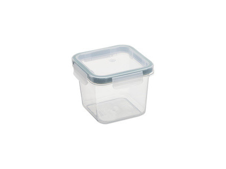 plast team Boîte de conservation Amsterdam, 0,43 litre, vert