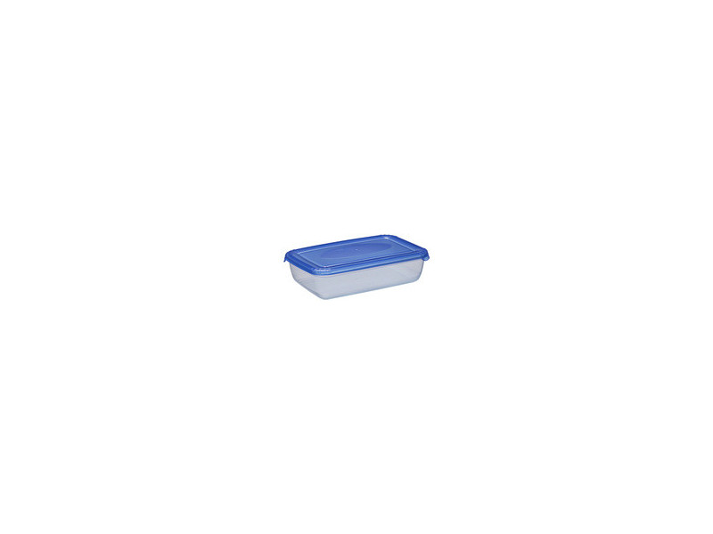 plast team Boîte de congélation Polar, 0,45 litre, gris