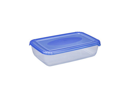 plast team Boîte de congélation Polar, 0,45 litre, gris