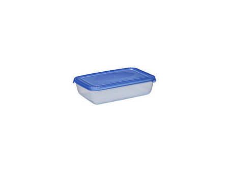plast team Boîte de congélation Polar, 3,0 litres, gris