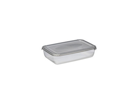 plast team Boîte de congélation Polar, 3,0 litres, bleu
