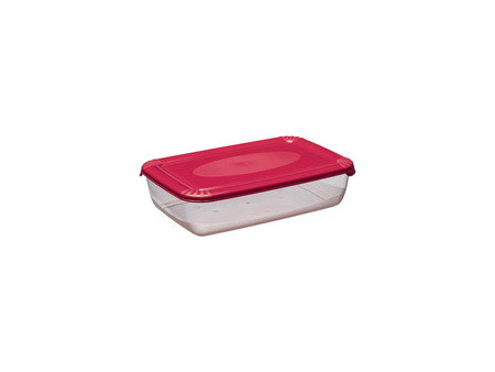 plast team Boîte de congélation Polar, 3,0 litres, bleu