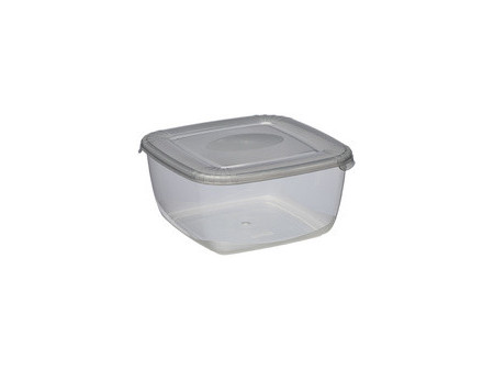 plast team Boîte de congélation Polar, 0,95 litre, gris