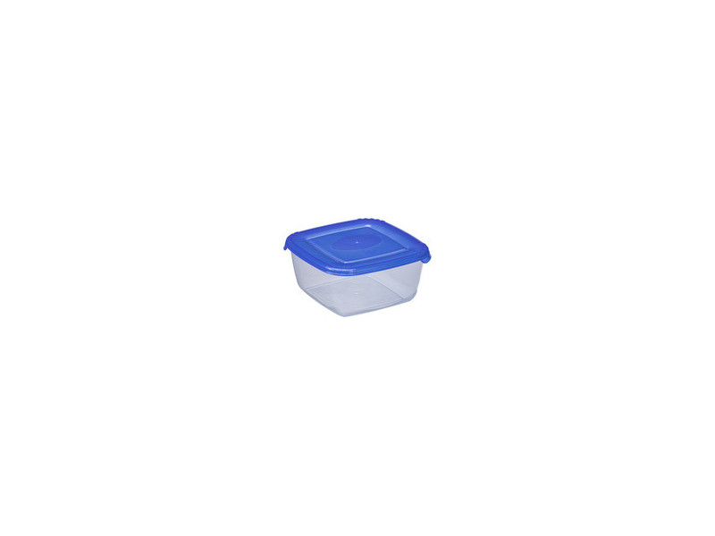 plast team Boîte de congélation Polar, 0,95 litre, bleu