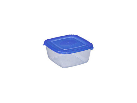 plast team Boîte de congélation Polar, 1,5 litre, bleu