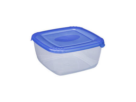 plast team Boîte de congélation Polar, 2,5 litres, bleu