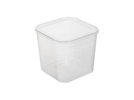 Plast team Boîte de congélation Helsinki, 4,6 litres, carré