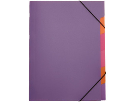 PAGNA Trieur 'Funky School', A4, PP, 5 compartiments