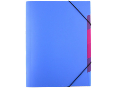 PAGNA Trieur 'Funky School', A4, PP, 5 compartiments