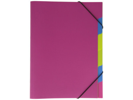 PAGNA Trieur 'Funky School', A4, PP, 5 compartiments