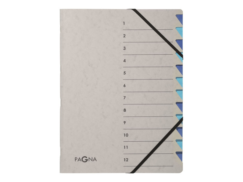 PAGNA Trieur 'Easy Grey', A4, 12 compartiments, gris / bleu