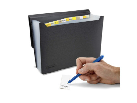 RAPESCO Trieur, A4, 13 compartiments, noir
