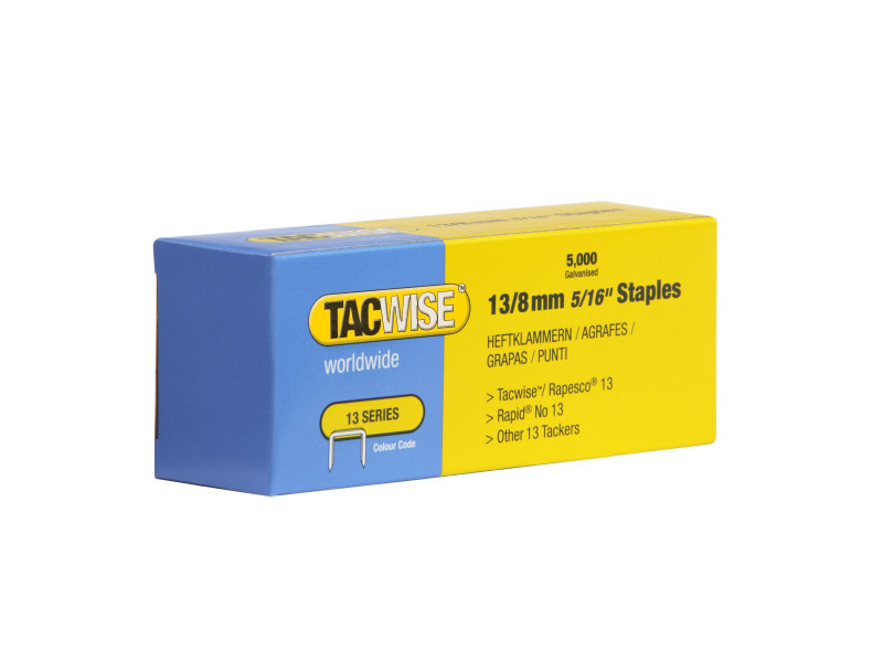 TACWISE Agrafes 13/8 mm, fin, galvanisé