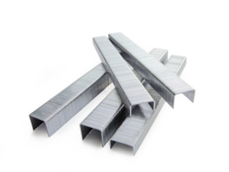 TACWISE Agrafes 13/10 mm, fin, galvanisé