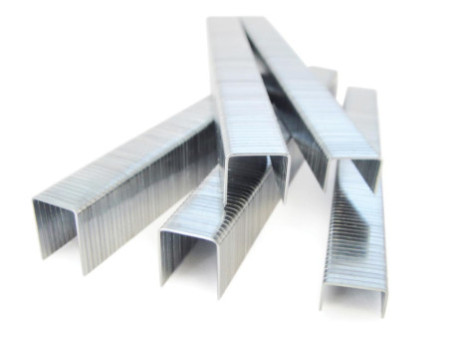 TACWISE Agrafes 140/12 mm, 5.000 pièces, galvanisé