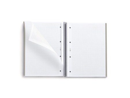MIQUELRIUS Cahier à spirale 'Notebook THE ORIGINAL' A4, gris