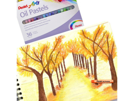PentelArts Pastels à huile PHN4, étui en plastique de 36