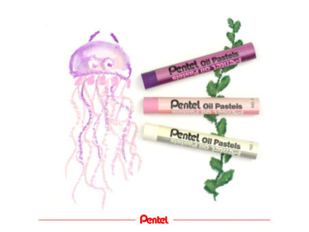 PentelArts Pastels à huile PHN4, étui en plastique de 50