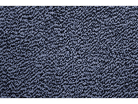 miltex Tapis anti-salissure EAZYCARE ECON, 600x900 mm, bleu