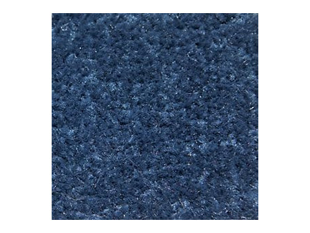 miltex Tapis anti-salissure EAZYCARE BASIC, bleu roy
