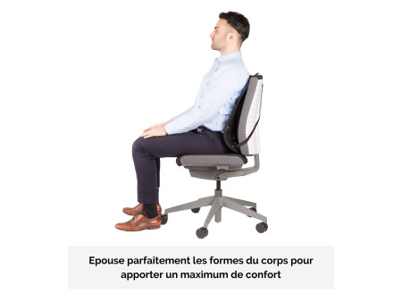 Fellowes Support dorsal en maille Professionnel Series, noir