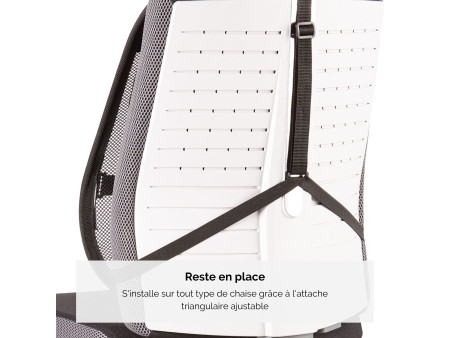 Fellowes Support dorsal en maille Professionnel Series, noir