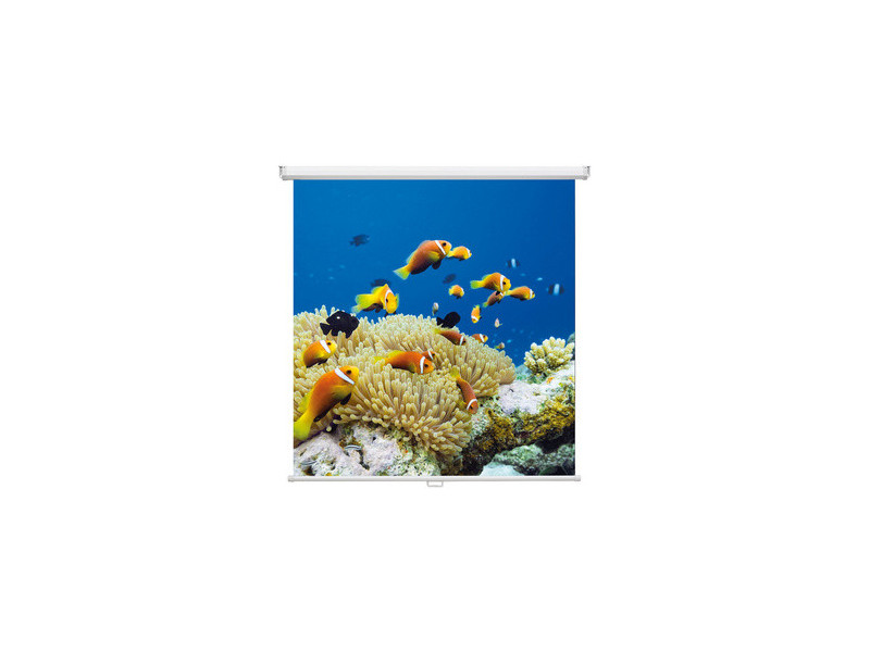 magnetoplan Ecran de projection enroulable, 2.000 x 2.000 mm