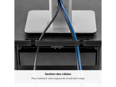 Fellowes Support moniteur Premium Plus, noir