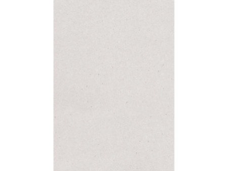 HEYDA carton gris, (L)500 x (H)700 mm, 1050 g/m2
