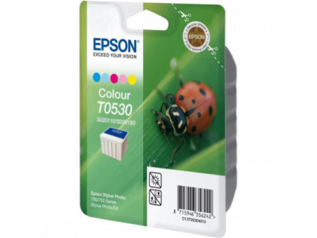 Cartouche EPSON T053 (C13T05304010)