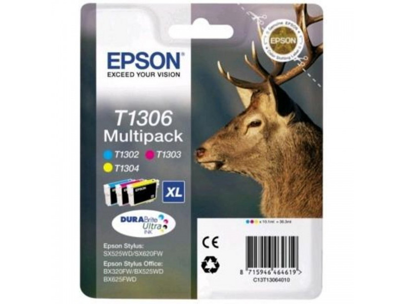 Multipack EPSON T1306