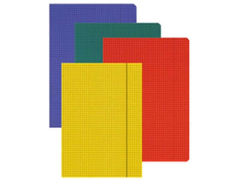 LANDRE Folio Diaren - carnet brillant, A4, quadrillé