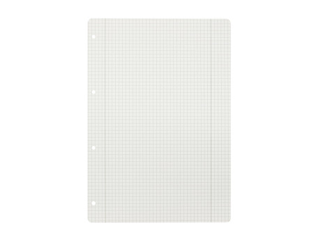 LANDRÉ Feuillets mobiles 'pro terra', A4, quadrillé