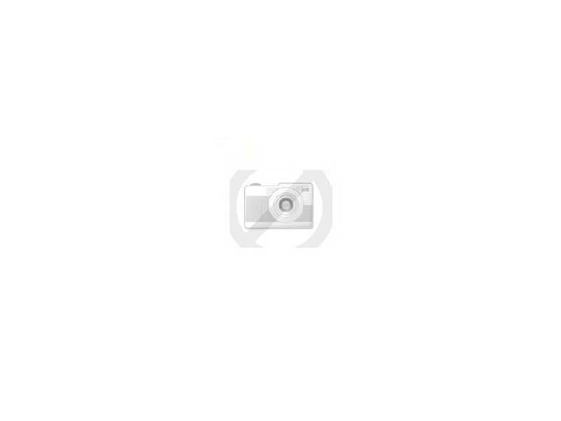Ricoh Type 1250D - Cartouche de toner (885258)