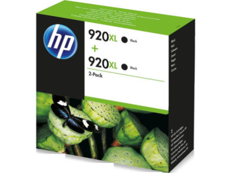 Tête d'Impression HP 300XL Noir (lot de 2)