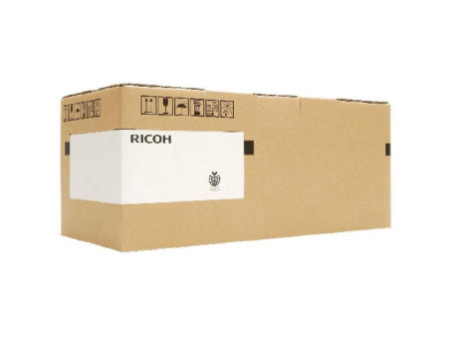 Kit de fusion RICOH 403119 Noir