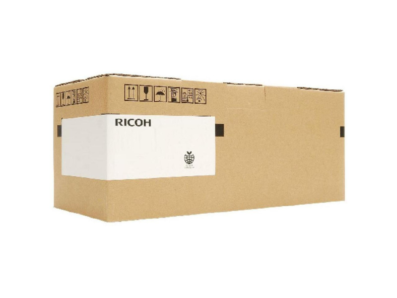 Kit de fusion RICOH 403119 Noir