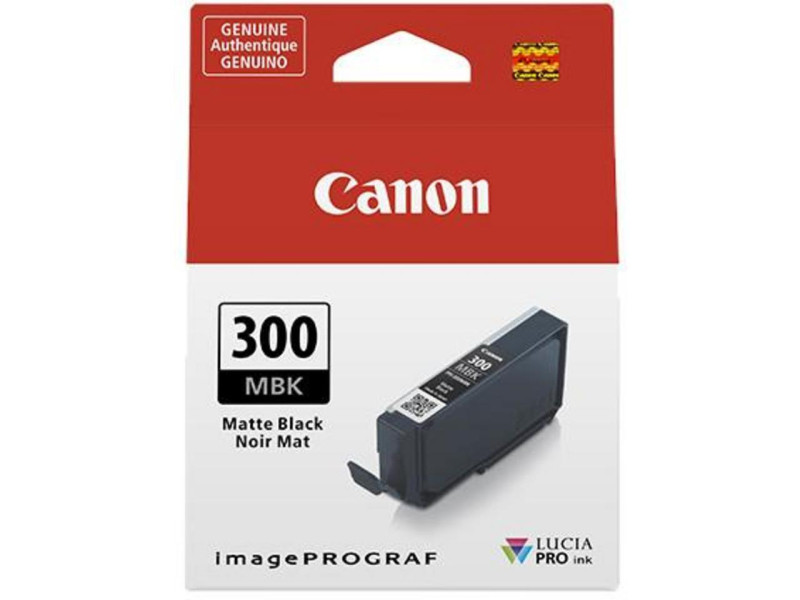 Cartouche Jet d'encre CANON 300 Noir Mat 4192C001