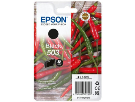 Cartouche Jet d'encre EPSON n° 503 Noir C13T09Q14010
