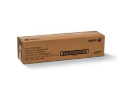 Photoconducteur - Tambour XEROX 013R00662