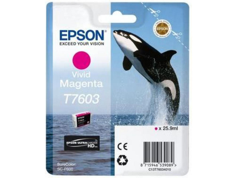 Cartouche Jet d'encre Magenta EPSON N°T7603 C13T76034N10