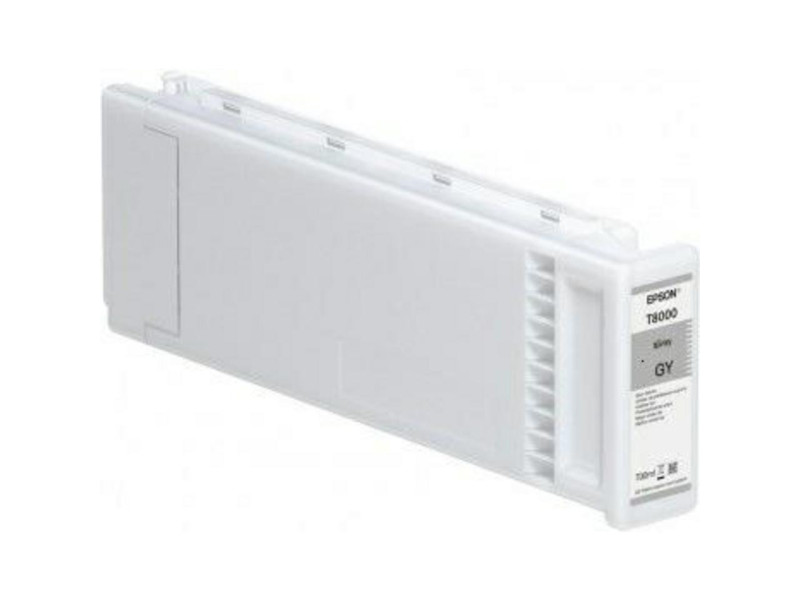 Cartouche Jet d'encre EPSON Gris C13T800900