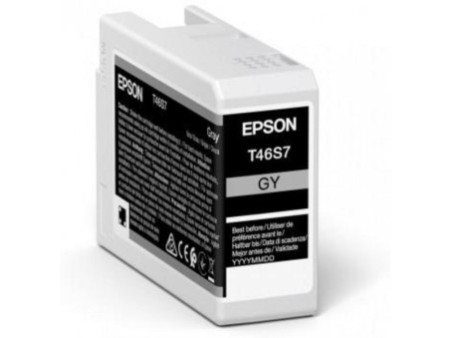 Cartouche Jet d'encre EPSON Gris C13T46S700